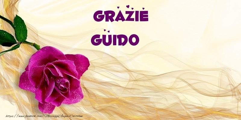 Cartoline di grazie - Grazie Guido