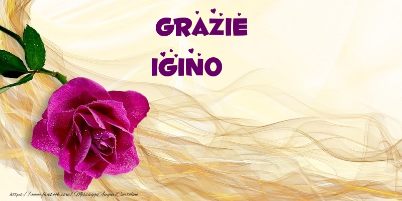Cartoline di grazie - Grazie Igino