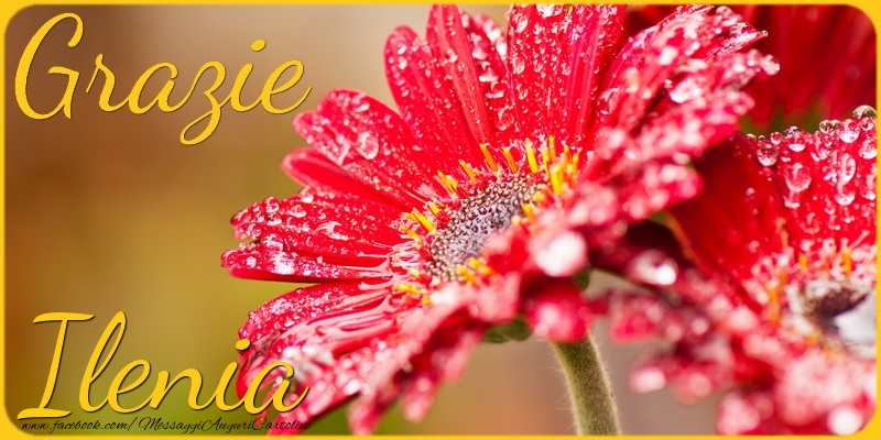 Cartoline di grazie - Grazie Ilenia