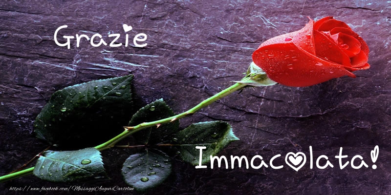 Cartoline di grazie - Grazie Immacolata!