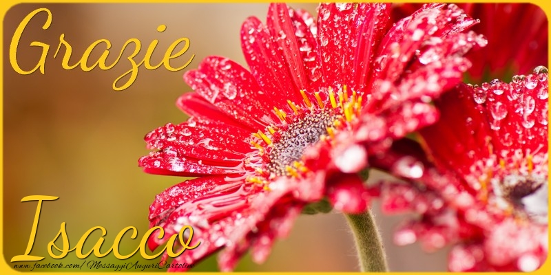 Cartoline di grazie - Grazie Isacco