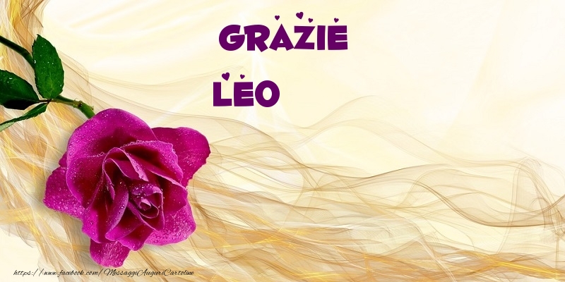 Cartoline di grazie - Grazie Leo