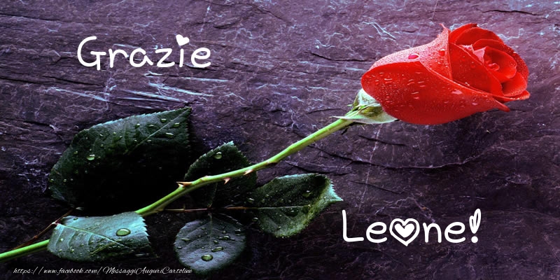 Cartoline di grazie - Grazie Leone!