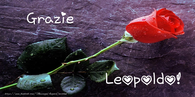Cartoline di grazie - Grazie Leopoldo!