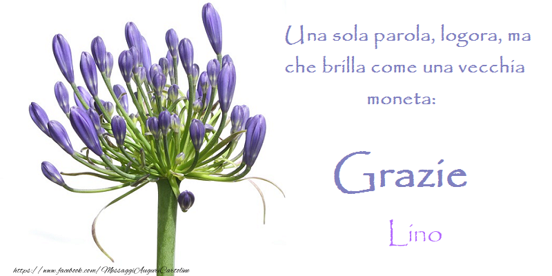 Cartoline di grazie - Grazie Lino