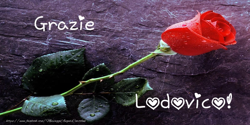 Cartoline di grazie - Grazie Lodovico!