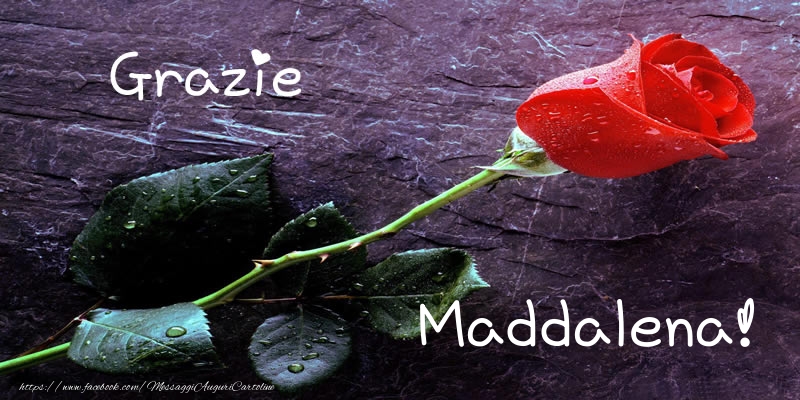 Cartoline di grazie - Grazie Maddalena!