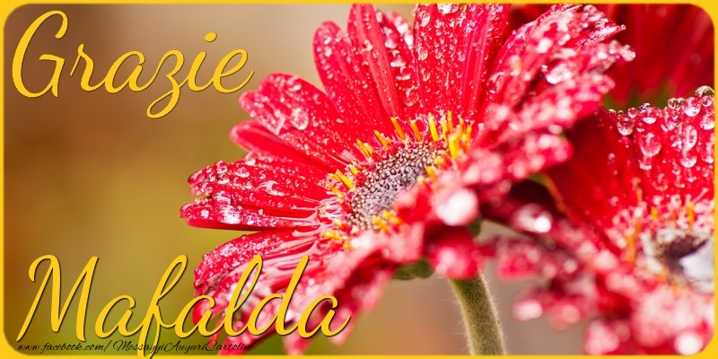 Cartoline di grazie - Grazie Mafalda