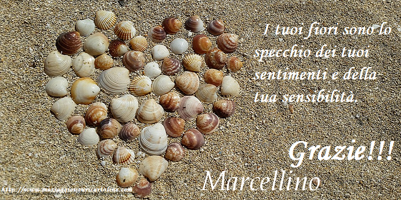 Cartoline di grazie - Grazie Marcellino