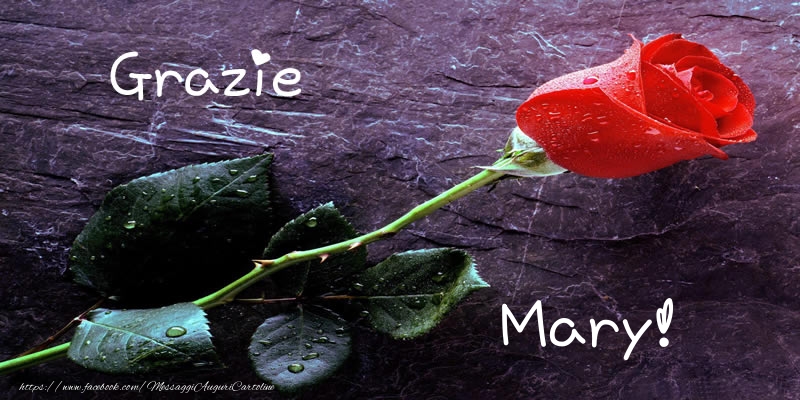 Cartoline di grazie - Rose | Grazie Mary!