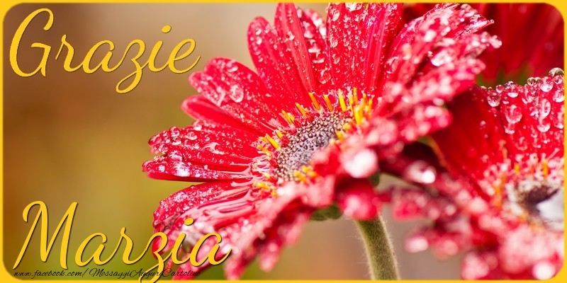 Cartoline di grazie - Grazie Marzia