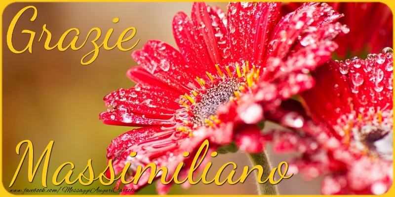 Cartoline di grazie - Grazie Massimiliano