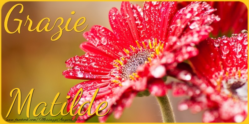 Cartoline di grazie - Grazie Matilde