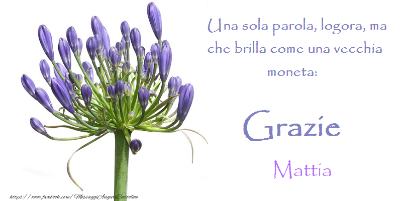 Cartoline di grazie - Grazie Mattia