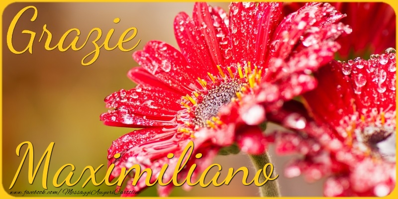 Cartoline di grazie - Grazie Maximiliano