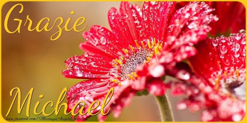Cartoline di grazie - Grazie Michael