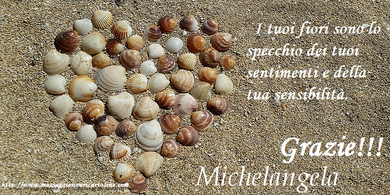Cartoline di grazie - Grazie Michelangela