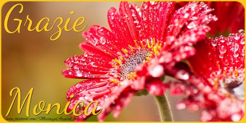 Cartoline di grazie - Grazie Monica