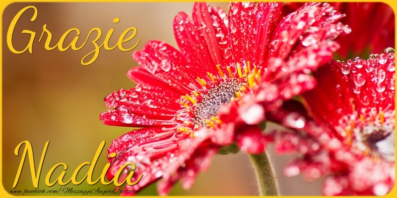 Cartoline di grazie - Grazie Nadia