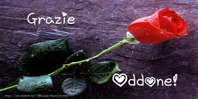 Cartoline di grazie - Grazie Oddone!
