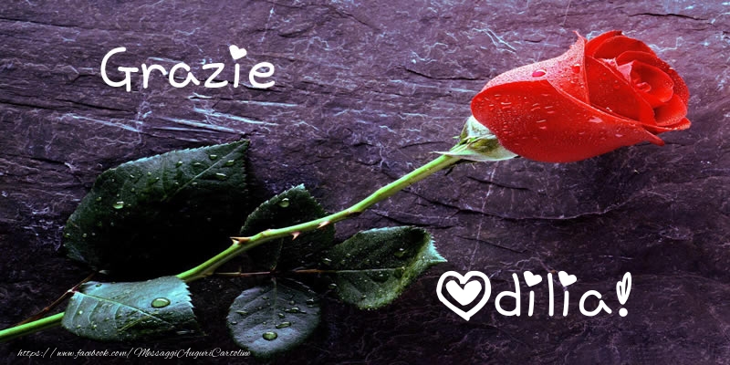 Cartoline di grazie - Grazie Odilia!