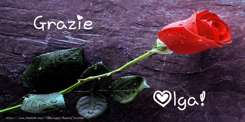 Cartoline di grazie - Grazie Olga!