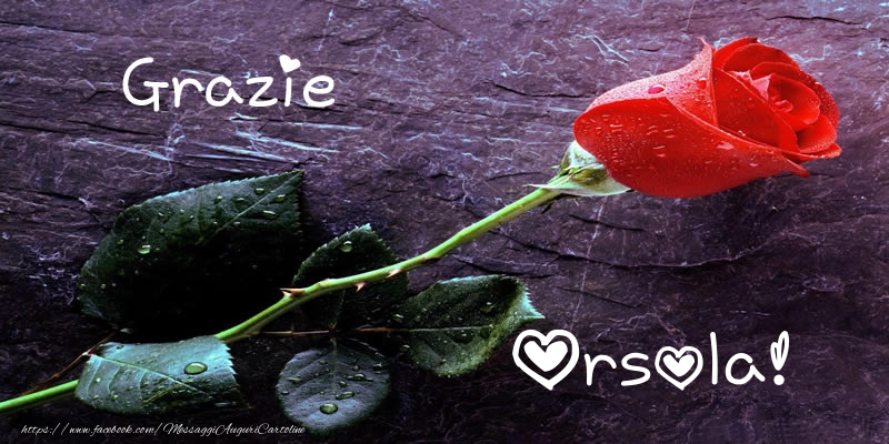 Cartoline di grazie - Grazie Orsola!