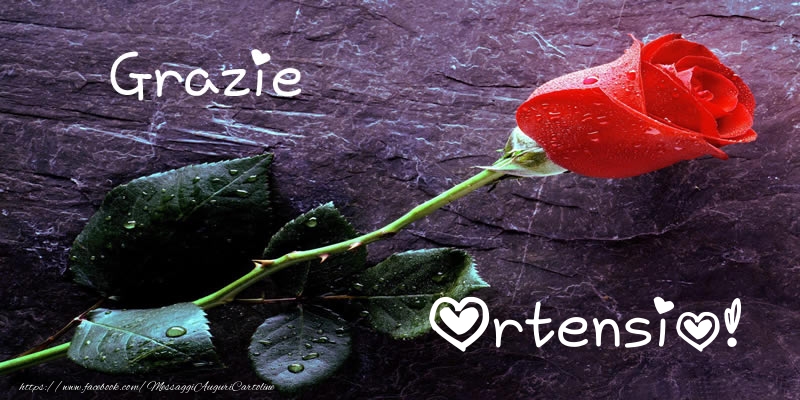 Cartoline di grazie - Grazie Ortensio!