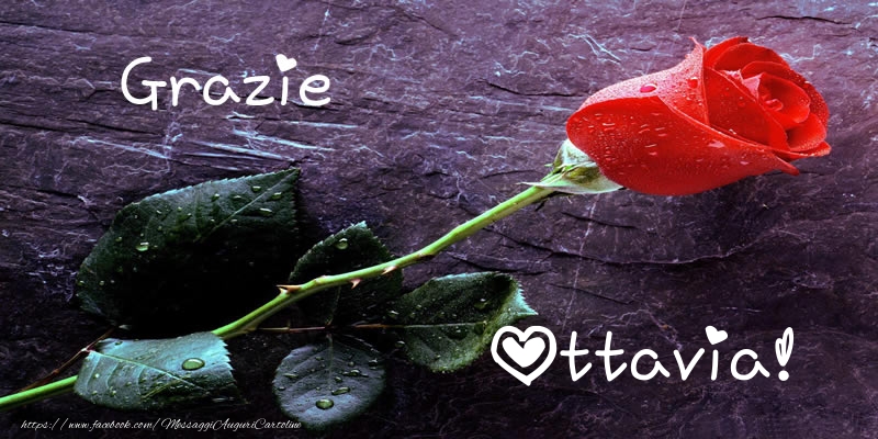 Cartoline di grazie - Grazie Ottavia!