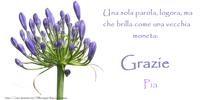 Cartoline di grazie - Grazie Pia