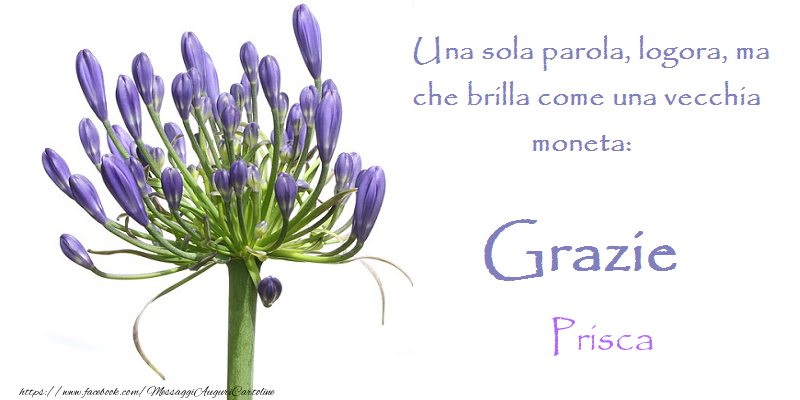 Cartoline di grazie - Grazie Prisca