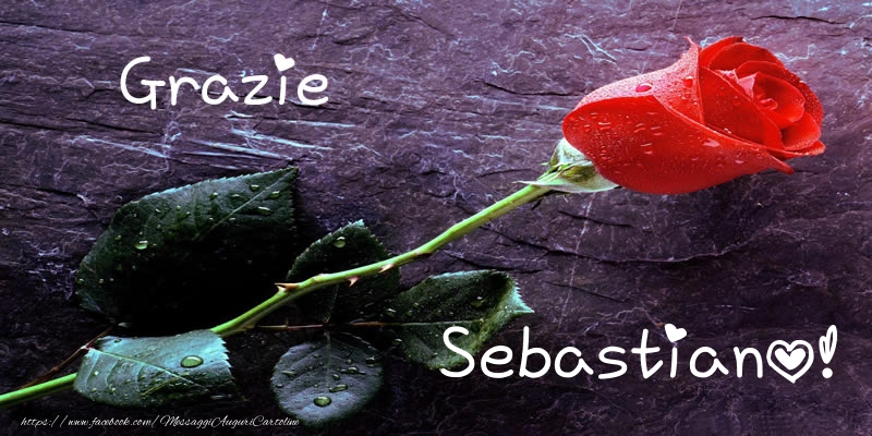 Cartoline di grazie - Grazie Sebastiano!
