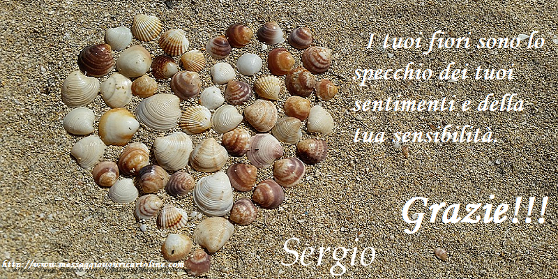 Cartoline di grazie - Grazie Sergio