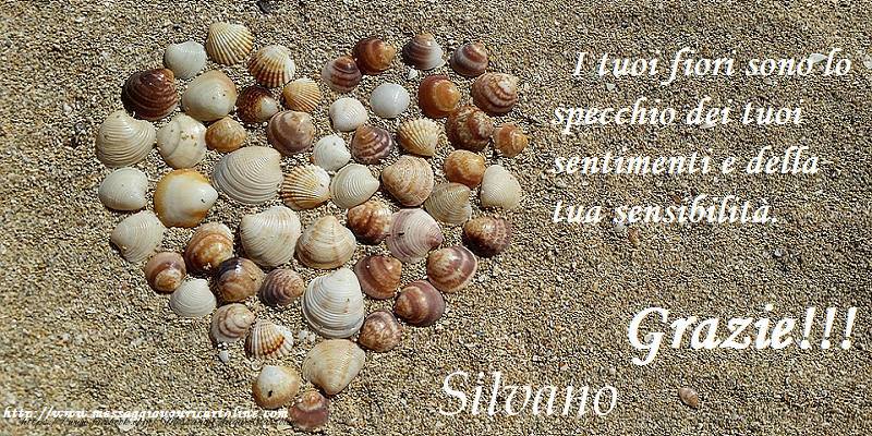 Cartoline di grazie - Grazie Silvano