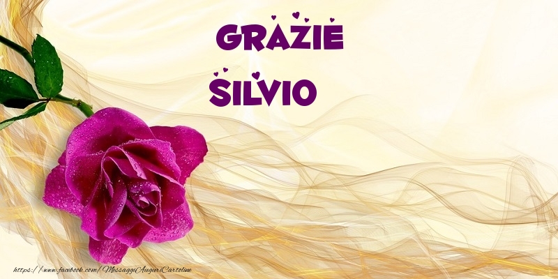 Cartoline di grazie - Grazie Silvio