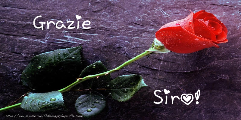 Cartoline di grazie - Grazie Siro!