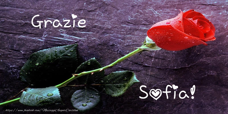 Cartoline di grazie - Grazie Sofia!