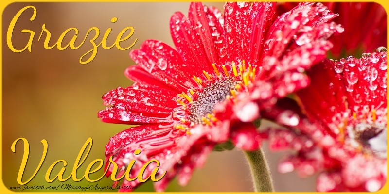 Cartoline di grazie - Grazie Valeria
