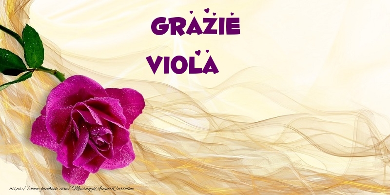 Cartoline di grazie - Grazie Viola