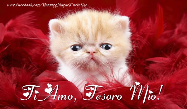 Cartoline d'amore per Fidanzato - Ti amo, tesoro mio!