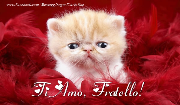 Cartoline d'amore per Fratello - Ti amo, fratello!