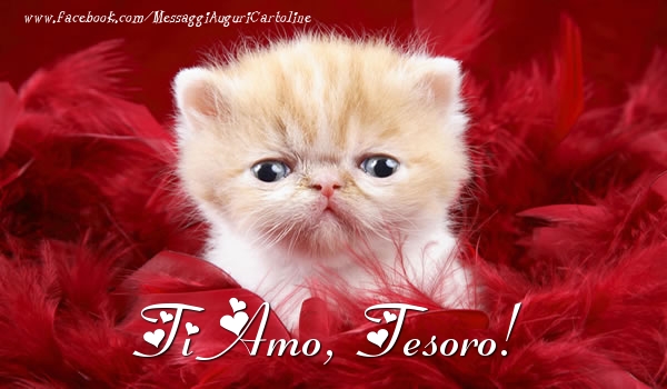 Cartoline d'amore per Moglie - Ti amo, tesoro!