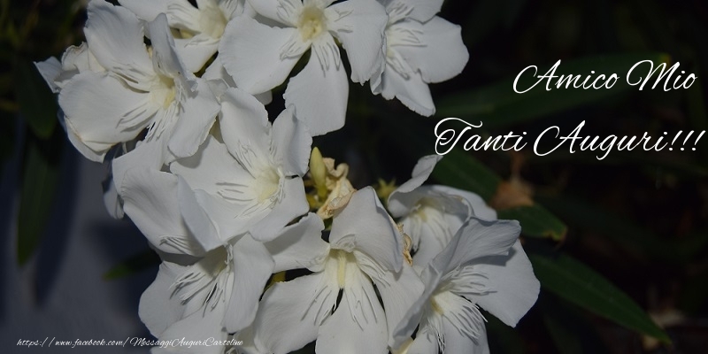 Cartoline di auguri per Amico - Tanti Auguri!!! amico mio