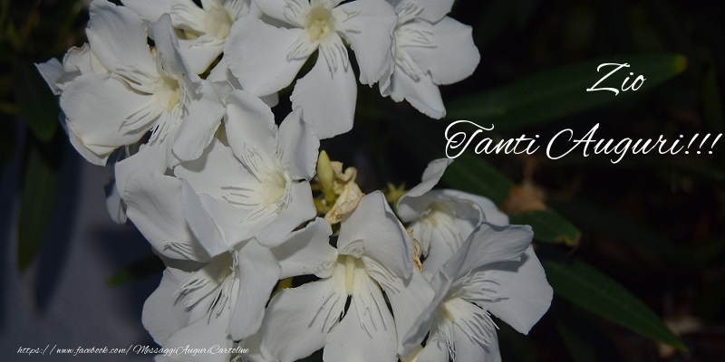 Cartoline di auguri per Zio - Tanti Auguri!!! zio