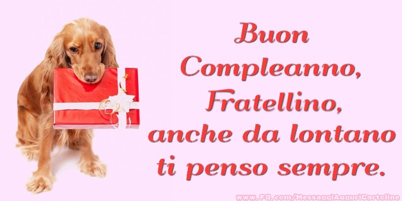 Cartoline di compleanno per Fratello - Buon Compleanno, fratellino anche da lontano ti penso sempre.