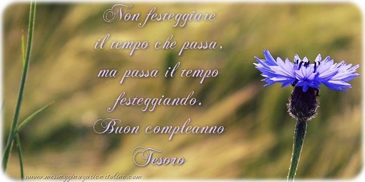 Cartoline di compleanno per Moglie - Non festeggiare il tempo che passa, ma passa il tempo festeggiando. Buon compleanno tesoro