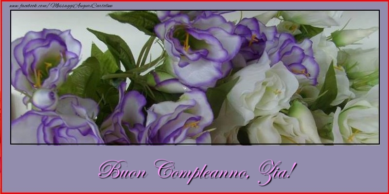 Cartoline di compleanno per Zia - Buon Compleanno, zia!