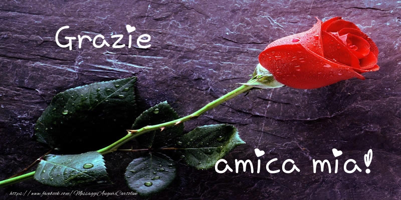 Cartoline di grazie per Amica - Grazie amica mia!