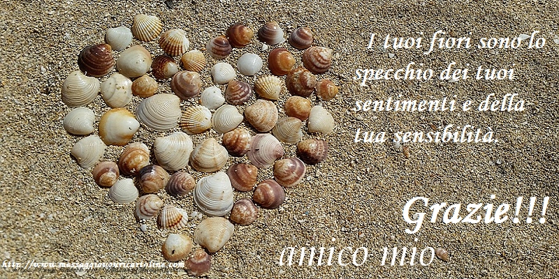 Cartoline di grazie per Amico - Grazie amico mio