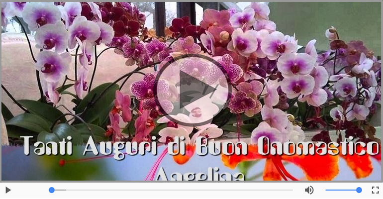 Tantissimi Auguri di Buon Onomastico Angelina!